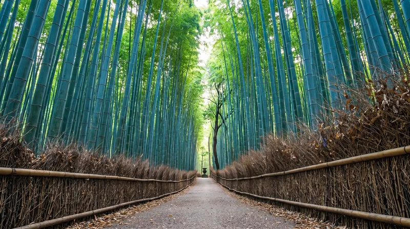 The path through Arashiyama bamboo grove in Kyoto, towering green bamboo stalks lining a narrow stone walkway